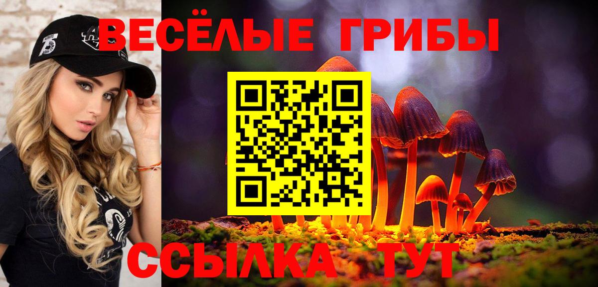 Галлюциногенные грибы Magic Shrooms  Псилоцибиновые грибы ЛСД  Вход с VPN  Конаково 