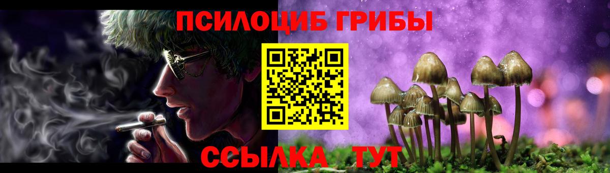 Псилоцибиновые грибы Cubensis Конаково